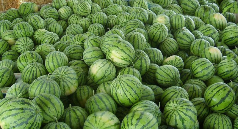 西瓜进口报关清关操作及流程